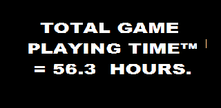 windr-digital-strategy